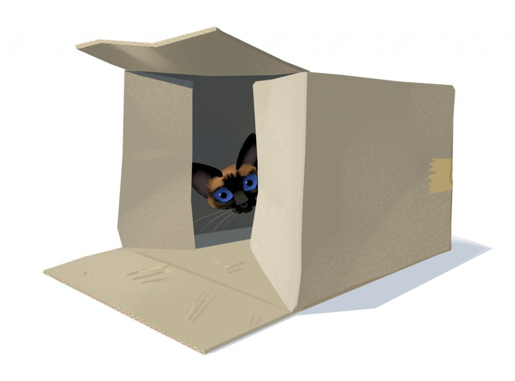 illustration of a cute siamese kitten hiding in a cardboard box